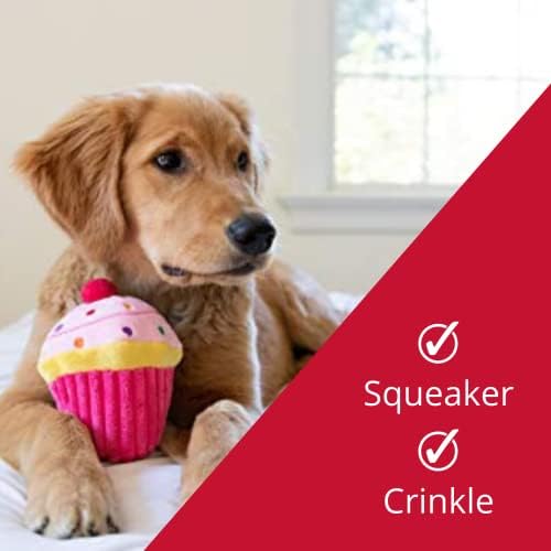 H&K לכלבים פלאש כוח | Pupcake ורוד | יום הולדת צעצוע כלבים מצחיק | צעצוע של כלבים עם חריק | מתנת כלבים